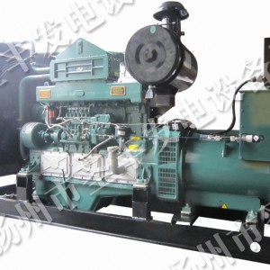 上海通柴帕歐柴油發(fā)電機(jī)組