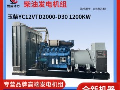 1200KW玉柴柴油發電機組工廠實拍視頻