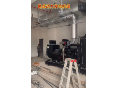 主用400KW卡得城仕柴油發電機組驗收