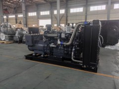 300 千瓦柴油發(fā)電機(jī)組(柴動(dòng)力)技術(shù)參數(shù)與配置說(shuō)明